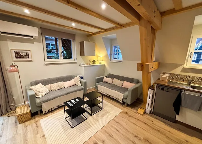 La Grange 1578 - Maison 4 Etoiles - Centre Ville - Commerce A Proximite